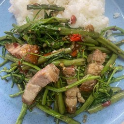 ผัดผักกะเฉดหมูกรอบ ราดข้าว