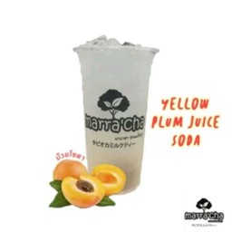 บ๊วยโซดา