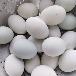 ไข่เค็ม