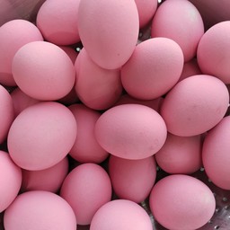 ไข่เยี่ยวม้า