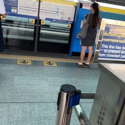 ร้านหมูตุ๋นแม่นก