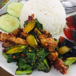 ผัดคะน้าราดข้าว