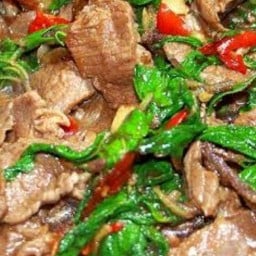 ครัวสุรีตามสั่ง  ครัวสุรีตามสั่งอิอิ