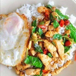 กะเพราไก่ราดข้าว+ไข่ดาว