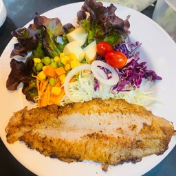 สลัด ปลาย่าง (ปลาดอลลี่)