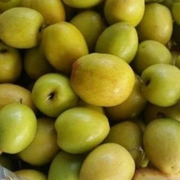 พุทราสามรส 1 ก.ก