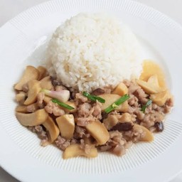 ข้าวราดผัดเห็ดออริจิหมูสับ