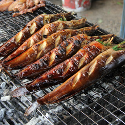 ปลาดุกย่าง