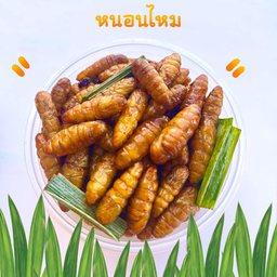 แมลงทอดกรอบสดใหม่
