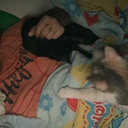 เสวนาขาหมู สาขาพุทธมณฑลสาย 1