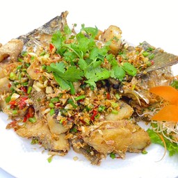 ปลากระพงสดผักพริกเกลือ(ยกตัว)