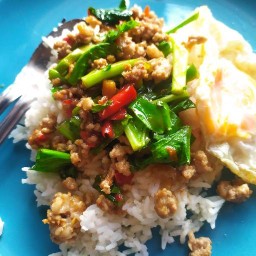 นิตตี้ ตามสั่ง ทานเล่น