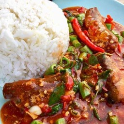 ข้าวราด ผัดกระเพราปลากระป๋อง