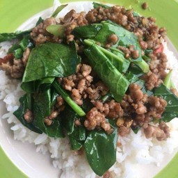 ผัดคะน้าหมูสับ