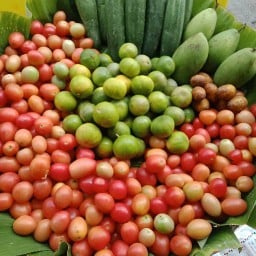 ฮอดแล้วแซบเลียปากอัญอัญส้มตำนัว(หมู่บ้านปัญญานคร)