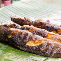 ปลาดุกย่าง