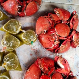 ฮาวานี้ซีฟู้ด