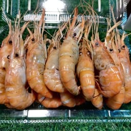 เจ้น้อยกุ้งเผา @ home