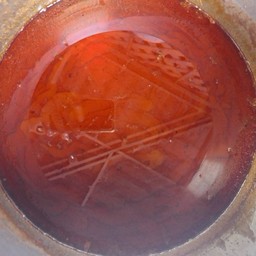 เพิ่มน้ำจิ้ม