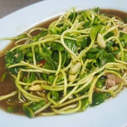 ทานตะวันงอกผัดน้ำมันหอย