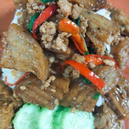 ข้าวราดกะเพราหมูยอ