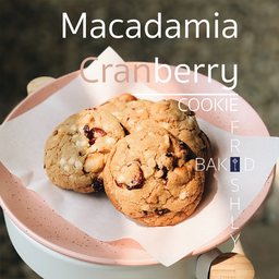Macadamia &Cranberry soft cookie ชิ้นใหญ่ (1)