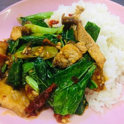 ข้าวคะน้าหมูกรอบ