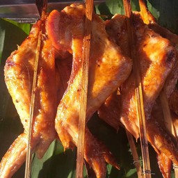 ปีกเต็มย่าง