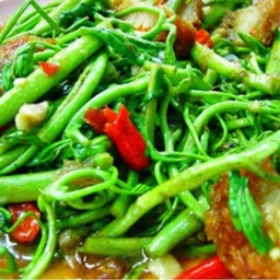 กระเพราพริกแห้งโบราณ ณ บางกระสอ