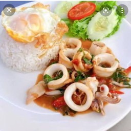 ผัดกระเพราปลาหมึกไข่ดาว ราดข้าว