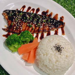 ข้าวปลาซาบะ น้องอ้วน