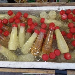 อะโวคาโดปั่น อยุธยา