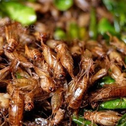 ลุงอ้วนแมลงทอด สาขา ข้างอำเภอ ลุงอ้วนแมลงทอดสาขาแหลมเจริญ