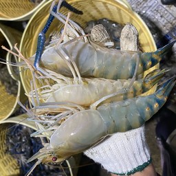 รสมือแม่