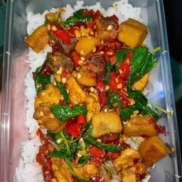 กะเพราคอนโด