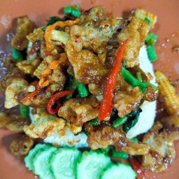 ข้าวราดผัดพริกเผาหมูกรอบ