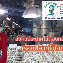 ร้านแม่กลอง๑ ปลาทูแม่กลองแท้ และของฝากจากเมืองสมุทรสงคราม แม่กลอง