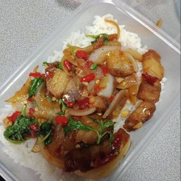 ข้าวกระเพาหมูกรอบ