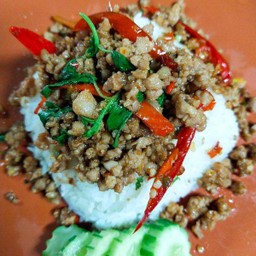 ข้าวราดกะเพราหมูสับ