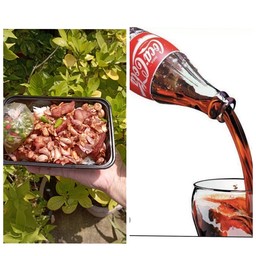 [อร่อยซ่ากับโค้ก] ข้าวหมูทอดกระเทียมพริกขี้หนูสด + โค้ก