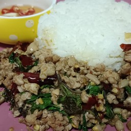 กะเพราหมูสับราดข้าว