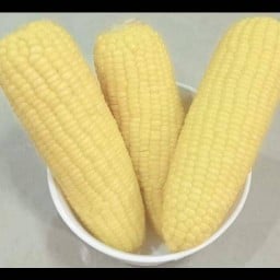 ฮาลาลฟู้ด อาหาร-เครื่องดื่ม