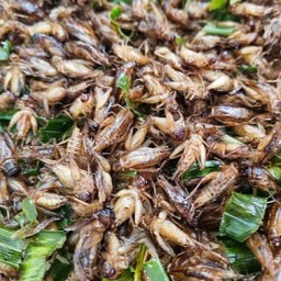 สะดิ้งทอด ตักละ