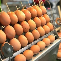 ไข่ทรงเครื่อง