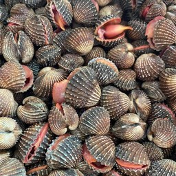 P&Mน้ำดื่ม (น้ำแพ็ค) ทรัพย์บุญชัย28