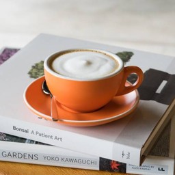 Hot Cappuccino