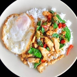 ผัดกะเพราราดข้าว