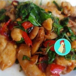 กะเพราไก่สับขุนช้าง