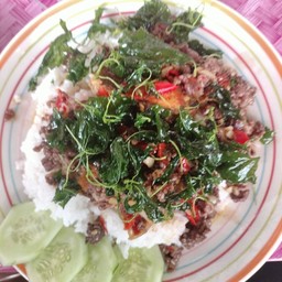 กระเพราหมูสับไข่เยี่ยวม้า