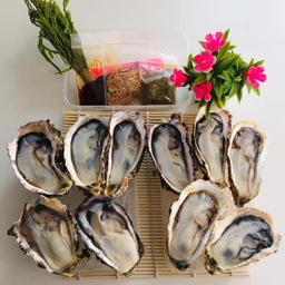 หอยนางรมเกาหลีจัมโบ้ 5 ตัว 1 แถม 1(พร้อมทาน)พร้อมชุดเครื่องเคียง